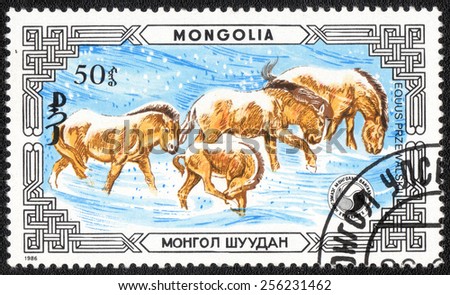 MONGOLIA - CIRCA 1986: A stamp printed in Mongolia shows animals , Equus Przewalskii, circa 1986