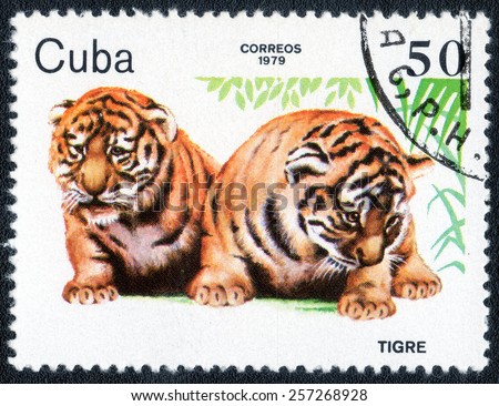 CUBA - CIRCA 1979: A Stamp printed in CUBA, shows  TIGER, circa 1979