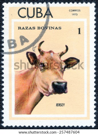 CUBA - CIRCA 1973: A Stamp printed in CUBA shows series 