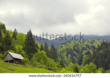 old wooden house in the mountains in spring