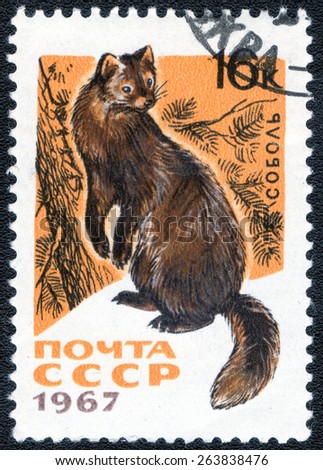 USSR - CIRCA 1967: A stamp printed in USSR shows series of wild animals \