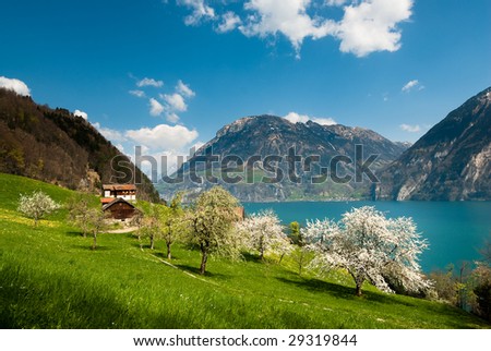 spring scenery at lake lucern, switzerland