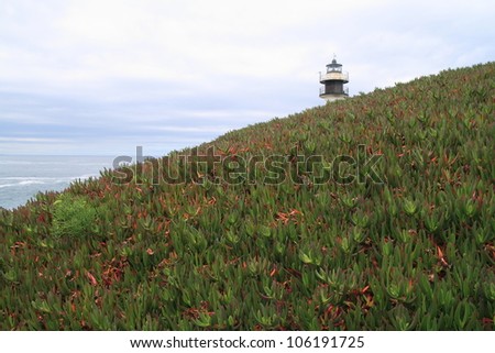 Vegetation and lighthouse. Isla Pancha, Ribadeo, Lugo, Galicia