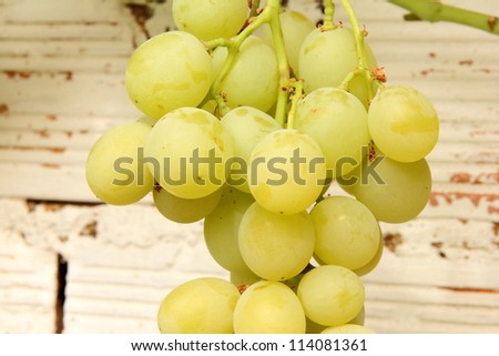 Grapes, fruit, food, health