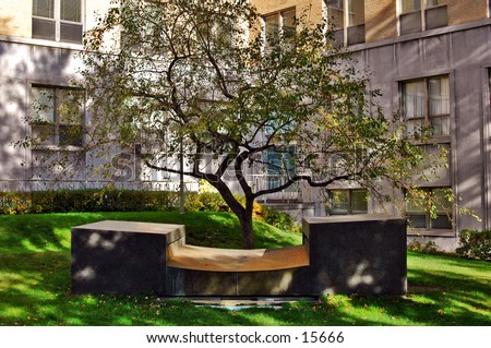 Tree and Fountain near an Hospital. The angle and composition reminds me of a Japanese rock garden. Very Zen.