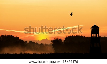 a nature scene with birds , mist and a watchtower .