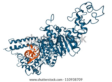 Taq Polymerase PCR Enzyme: A