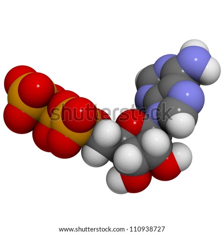 Adenosine triphosphate (ATP) energy transport molecule, chemical structure. ATP is the main energy transport molecule in most organisms.