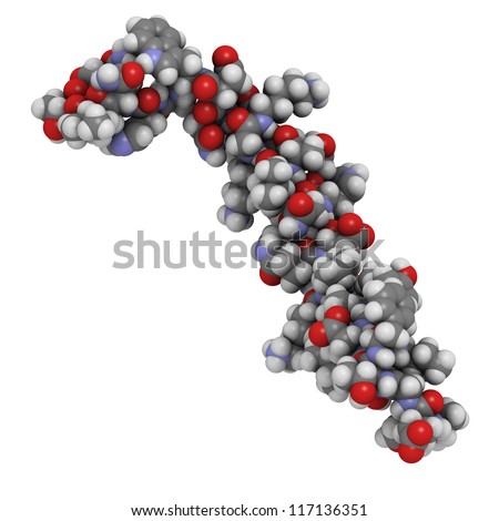 Glucose-dependent insulinotropic peptide (gastric inhibitory polypeptide, GIP) molecule, chemical structure. GIP is an endocrine hormone (incretin) that induces insulin secretion.