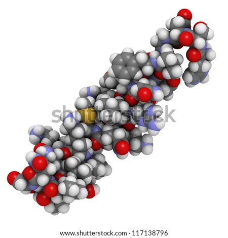 Vasoactive intestinal peptide (VIP) molecule, molecular model.  VIP is a peptide that has a number of biological effects in the digestive system but also in the brain and the heart.