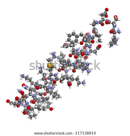 Vasoactive intestinal peptide (VIP) molecule.  VIP is a peptide that has a number of biological effects in the digestive system but also in the brain and the heart.