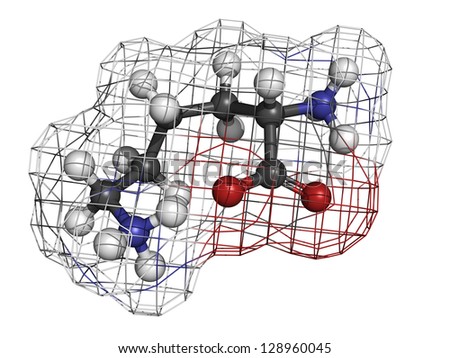 Lysine (Lys, K) amino acid, molecular model. Amino acids are the building blocks of all proteins. Atoms are represented as spheres with conventional color coding: hydrogen (white), carbon (grey), etc