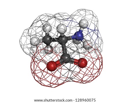 Alanine (Ala, A) amino acid, molecular model. Amino acids are the building blocks of all proteins. Atoms are represented as spheres with conventional color coding: hydrogen (white), carbon (grey), etc