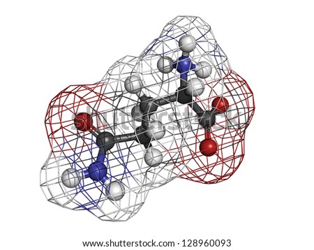 Glutamine (Gln, Q) amino acid, molecular model. Amino acids are the building blocks of all proteins. Atoms are represented as spheres with conventional color coding: hydrogen (white), etc