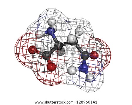 Asparagine (Asn, N) amino acid, molecular model. Amino acids are the building blocks of all proteins. Atoms are represented as spheres with conventional color coding: hydrogen (white), etc