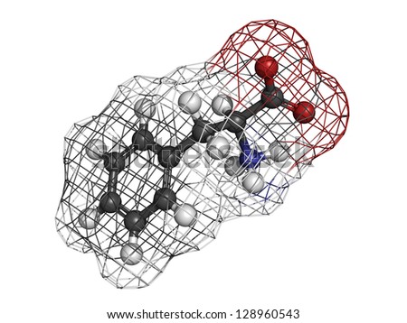 Phenylalanine (Phe, F) amino acid, molecular model. Amino acids are the building blocks of all proteins. Atoms are represented as spheres with conventional color coding: hydrogen (white), etc