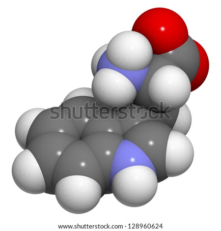 Tryptophan (Trp, W) amino acid, molecular model. Amino acids are the building blocks of all proteins. Atoms are represented as spheres with conventional color coding: hydrogen (white), carbon (grey)