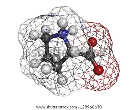 Proilne (Pro, P) amino acid, molecular model. Amino acids are the building blocks of all proteins. Atoms are represented as spheres with conventional color coding: hydrogen (white), carbon (grey), etc