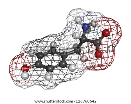Tyrosine (Tyr, Y) amino acid, molecular model. Amino acids are the building blocks of all proteins. Atoms are represented as spheres with conventional color coding: hydrogen (white), carbon (grey),etc