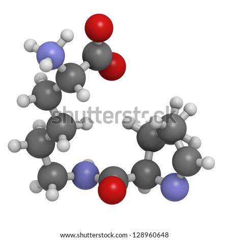 Pyrrolysine (Pyl, O) amino acid, molecular model. Amino acids are the building blocks of all proteins. Atoms are represented as spheres with conventional color coding: hydrogen (white), etc