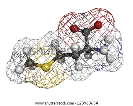 Methionine (Met, M) amino acid, molecular model. Amino acids are the building blocks of all proteins. Atoms are represented as spheres with conventional color coding: hydrogen (white), etc