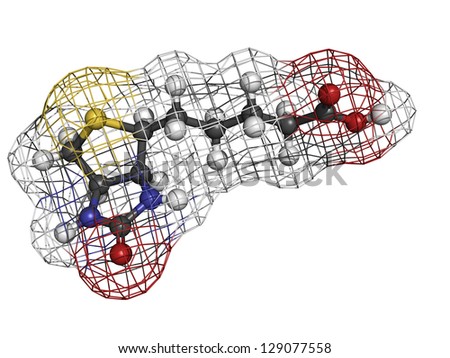 Vitamin B7 (biotin), molecular model. Atoms are represented as spheres with conventional color coding: hydrogen (white), carbon (grey), oxygen (red), sulfur (yellow), nitrogen (blue).