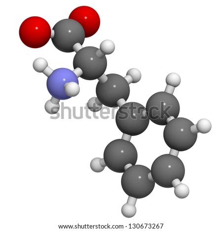 Phenylalanine (Phe, F) amino acid, molecular model. Amino acids are the building blocks of all proteins. Atoms are represented as spheres with conventional color coding: hydrogen (white), etc