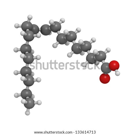 Oleic acid omega-9 fatty acid, molecular model. Oleic acid is the main fatty acid component of both olive oil and human body fat. Atoms are represented as spheres with conventional color coding