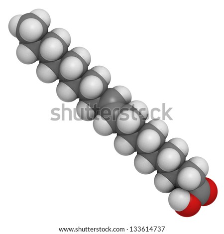 Elaidic acid trans fatty acid, molecular model. Trans fatty acids are found in hydrogenated vegetable oils, and are used in the production of e.g. margarine