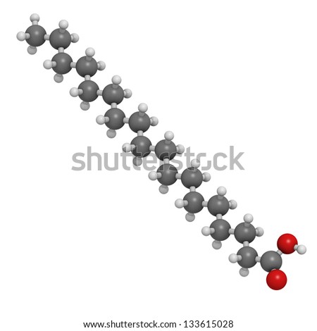 Stearic acid saturated fatty acid, molecular model. Atoms are represented as spheres with conventional color coding: hydrogen (white), carbon (grey), oxygen (red)