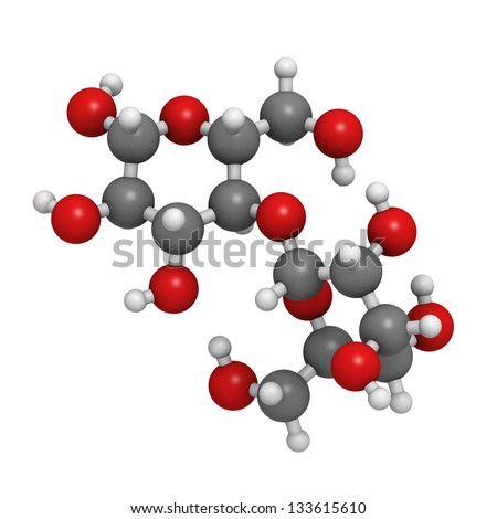 Maltose (maltobiose, malt sugar), molecular model. Atoms are represented as spheres with conventional color coding: hydrogen (white), carbon (grey), oxygen (red)