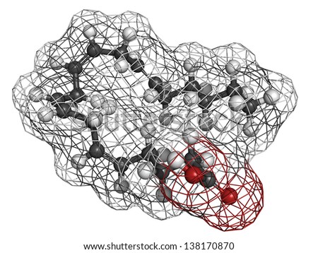 Arachidonic acid (AA, ARA) polyunsaturated omega-6 fatty acid, molecular model. Atoms are represented as spheres with conventional color coding: hydrogen (white), carbon (grey), oxygen (red)