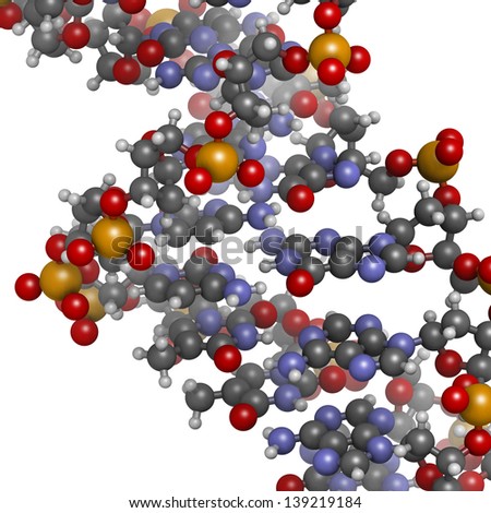 DNA structure. Computer model of part of the gene for human growth hormone, shown in the B-DNA form. Atoms are represented as spheres with conventional color coding