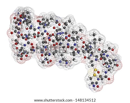 Salmon calcitonin peptide hormone drug, chemical structure. Used in treatment of postmenopausal osteoporosis and other diseases. Atoms are represented as spheres with conventional color coding