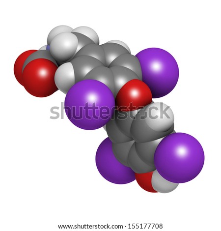 Thyroxine molecule, chemical structure. Thyroid gland hormone that plays a role in energy metabolism regulation. It is a iodine containing derivative of thyrosine. Atoms are represented as spheres.