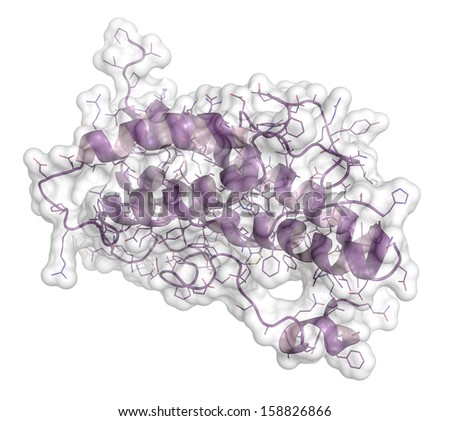 Human growth hormone (hGH, Somatotropin) molecule. Natural hormone that is used both as a drug and as a doping agent. Cartoon & wireframe representation + semi-transparent molecular surface.