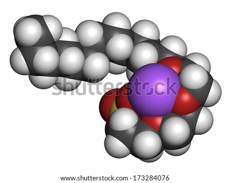 Sodium laureth sulphate detergent molecule. Used in cosmetics, soaps, shampoos, etc. Atoms represented as spheres with conventional color coding: hydrogen (white), carbon (grey), etc