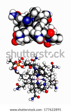 Vitamin B12 (cyanocobalamin) molecule. 3D space-filling model and 3D ball-and-stick model. Atoms are represented as spheres with conventional color coding: hydrogen (white), carbon (grey), etc