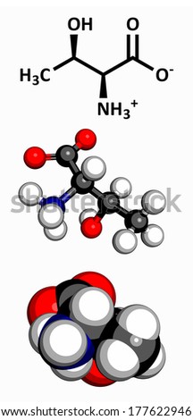 Threonine (Thr, T) amino acid, molecular model. Amino acids are the building blocks of all proteins. Three representations: 2D skeletal formula, 3D ball-and-stick model, 3D space-filling model.
