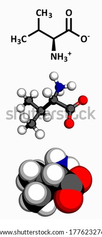 Valine (Val, V) amino acid, molecular model. Amino acids are the building blocks of all proteins. Three representations: 2D skeletal formula, 3D ball-and-stick model, 3D space-filling model.