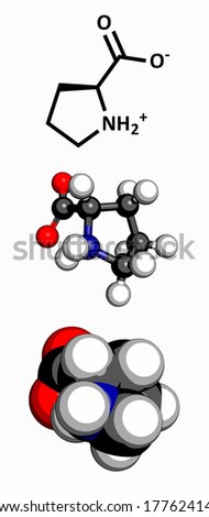 Proline (Pro, P) amino acid molecule. Amino acids are the building blocks of all proteins. Three representations: 2D skeletal formula, 3D ball-and-stick model, 3D space-filling model.