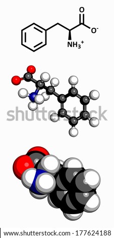Phenylalanine (Phe, F) amino acid molecule. Amino acids are the building blocks of all proteins. Three representations: 2D skeletal formula, 3D ball-and-stick model, 3D space-filling model.