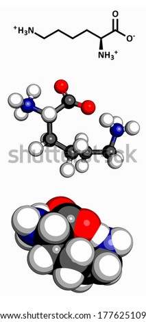 Lysine (Lys, K) amino acid molecule. Amino acids are the building blocks of all proteins. Three representations: 2D skeletal formula, 3D ball-and-stick model, 3D space-filling model.