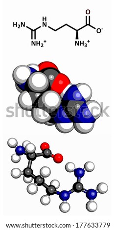 Arginine (Arg, R) amino acid molecule. Amino acids are the building blocks of all proteins. Three representations: 2D skeletal formula, 3D space-filling model and 3D ball-and-stick model.