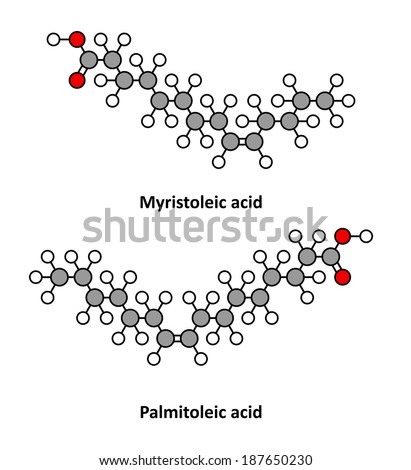 Myristoleic acid (omega-5) and palmitoleic acid (omega-7) fatty acid molecules. Stylized 2D renderings.