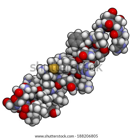 Vasoactive intestinal peptide (VIP) molecule.  Peptide that has a number of biological effects in the digestive system but also in the brain and the heart. Atoms are represented as spheres.