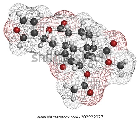 Salvinorin A entheogen molecule. Psychotropic molecule from Salvia divinorum. Atoms are represented as spheres with conventional color coding: hydrogen (white), carbon (grey), oxygen (red).