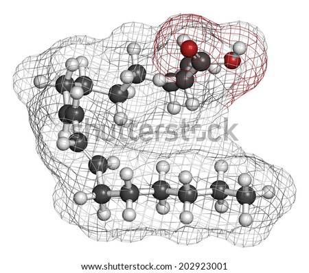 Rumenic acid (bovinic acid, conjugated linoleic acid, CLA) fatty acid molecule. Atoms are represented as spheres with conventional color coding: hydrogen (white), carbon (grey), oxygen (red).