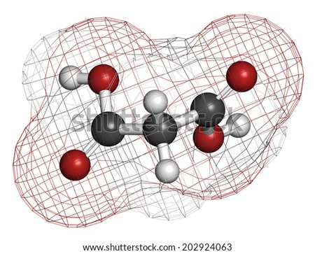 Malonic acid organic dicarboxylic acid molecule. Atoms are represented as spheres with conventional color coding: hydrogen (white), carbon (grey), oxygen (red).