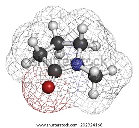 N-methyl-2-pyrrolidone (NMP) chemical solvent molecule. Atoms are represented as spheres with conventional color coding: hydrogen (white), carbon (grey), oxygen (red), nitrogen (blue).